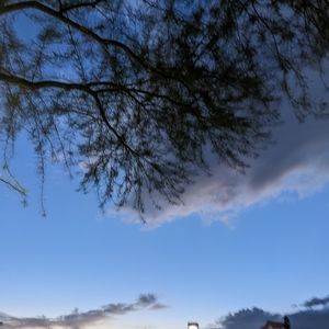 Meet your Posher, Rae